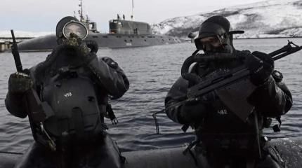 Арктика на прицеле: ВМФ формирует мобильные отряды боевых пловцов