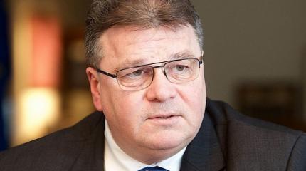 Глава МИД Литвы Линкявичус обвинил РФ в милитаризации Прибалтики Глава МИД Литвы Линкявичус обвинил РФ в милитаризации Прибалтики