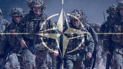 Хотят ли европейцы войны с Россией? Хотят ли европейцы войны с Россией?