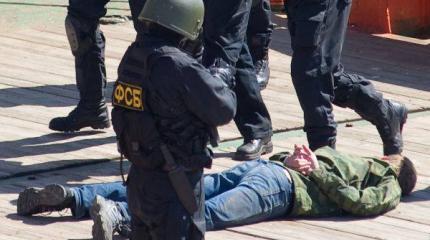Шпионские игры: что ищут в России агенты из Прибалтики? Шпионские игры: что ищут в России агенты из Прибалтики?