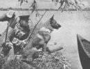 1941 Забытый десант 1941 Забытый десант
