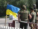 Донецкие ополченцы заявили, что взяли в плен иностранных наемников Донецкие ополченцы заявили, что взяли в плен иностранных наемников