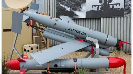 Южноафриканские УАБ и КР семейства «Raptor»: Аргентина «в пролёте» Южноафриканские УАБ и КР семейства «Raptor»: Аргентина «в пролёте»