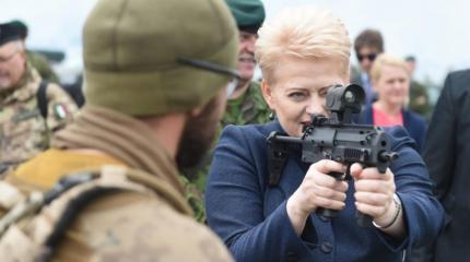 Литва не хочет возвращать американцам винтовки Литва не хочет возвращать американцам винтовки