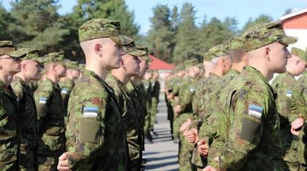 «Змеиные слова» – Эстония выстраивает территориальную оборону от России