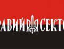 Ополченцы Славянска взяли в плен боевиков «Правого сектора» Ополченцы Славянска взяли в плен боевиков «Правого сектора»