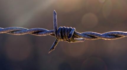 Жизнь в оккупации. "Серые" зоны Донбасса Жизнь в оккупации. "Серые" зоны Донбасса