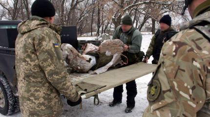 Украинская ДРГ разбита под Желобком: обе стороны понесли большие потери