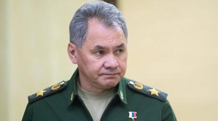 Шойгу: Россия не может игнорировать террористические угрозы из Сирии Шойгу: Россия не может игнорировать террористические угрозы из Сирии