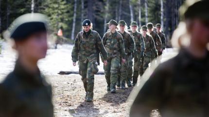 Интеграция по-скандинавски: почему военные северной Европы боятся Россию Интеграция по-скандинавски: почему военные северной Европы боятся Россию