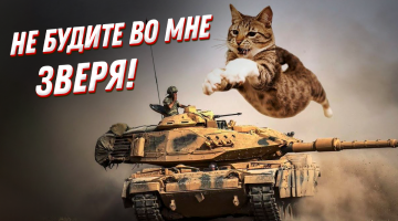 Истории бойцовых котов на войне