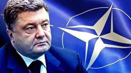 Чем грозит курс Порошенко в НАТО? Чем грозит курс Порошенко в НАТО?