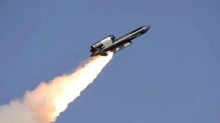 Десятки "Фламинго" полетят на Россию каждый день – НПЗ будут добивать?