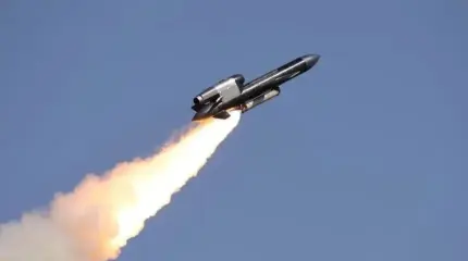 Десятки "Фламинго" полетят на Россию каждый день – НПЗ будут добивать?