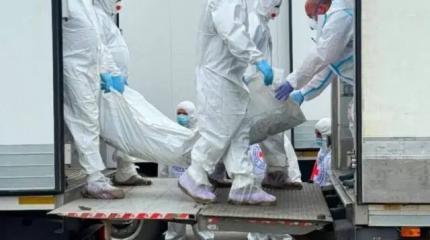 «Живой кошмар»: на Западе раскрыли последствия возврата тел солдат ВСУ «Живой кошмар»: на Западе раскрыли последствия возврата тел солдат ВСУ