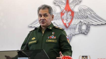 Шойгу: зона влияния "Исламского государства" растет, захвачено 70% территории Сирии