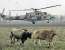 Асы Вьетконга Асы Вьетконга