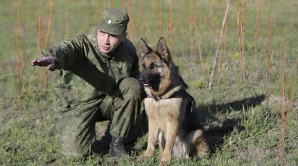 России требуется полноценное воссоздание пограничных войск в структуре ФСБ