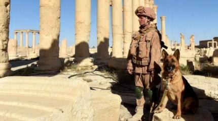 Ближневосточные амбиции России растут вместе с военными успехами Сирии Ближневосточные амбиции России растут вместе с военными успехами Сирии