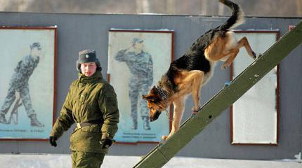 «Верный друг» военнослужащих