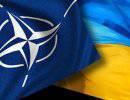 Армия внеблоковой Украины «подсела» на стандарты НАТО