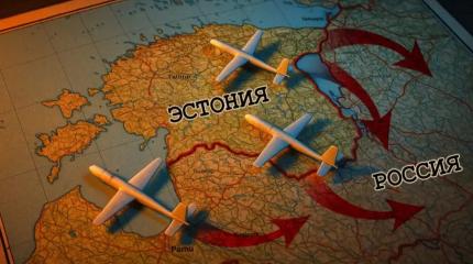 Вскрылась странная история с перехватом дрона ВСУ над Эстонией