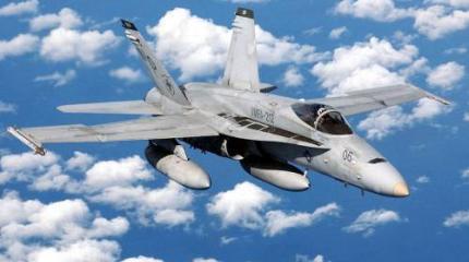 Палубный истребитель F-14 Tomcat (США) Палубный истребитель F-14 Tomcat (США)