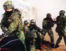 Силы специальных операций сухопутных войск Греции Силы специальных операций сухопутных войск Греции