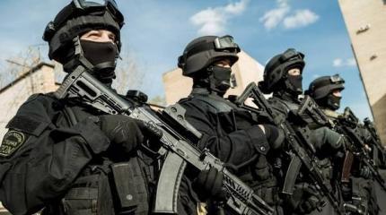 Спецназ окружил мешающих ремонту ЛЭП радикалов «Правого сектора» Спецназ окружил мешающих ремонту ЛЭП радикалов «Правого сектора»