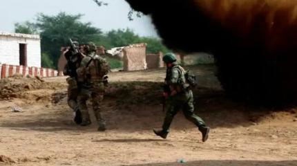 Из ЮАР в могилу: Российские войска разнесли наёмников ВСУ под Купянском