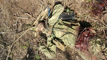 Уничтоженная у Дебальцево ДРГ возможно причастна к подрыву машины ОБСЕ Уничтоженная у Дебальцево ДРГ возможно причастна к подрыву машины ОБСЕ