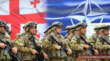 Приоритеты военно-политического руководства Грузии по вступлению в НАТО