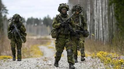 В НАТО пригласили Эстонию ловить Россию на живца