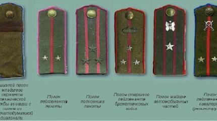 Погоны за Сталинград, "золотопогонники" и Троцкий за знаки различия Погоны за Сталинград, "золотопогонники" и Троцкий за знаки различия