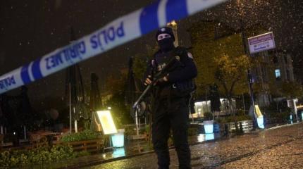 Теракт в Турции организовали боевики ИГ Теракт в Турции организовали боевики ИГ