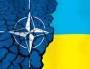НАТО готова помочь с реформой украинской армии