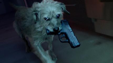 Dog Wick: Они связались не с той собакой Dog Wick: Они связались не с той собакой