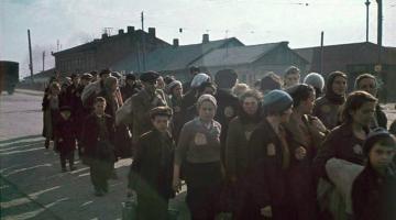 Проводник из ада: воспоминания мальчика, выжившего в Минском гетто