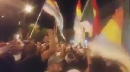 Массовые протесты друзов против поддержки Израилем атаки Нусры в Хадер Массовые протесты друзов против поддержки Израилем атаки Нусры в Хадер