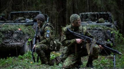 Зачем прибалты возводят «стену» на границе с Россией? Зачем прибалты возводят «стену» на границе с Россией?