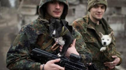 Агония Дебальцевского котла — третий этап Агония Дебальцевского котла — третий этап