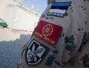 Эстония жертвует военными на благо Франции Эстония жертвует военными на благо Франции