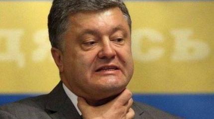 Украинские каратели убивают, Порошенко горюет по Алеппо Украинские каратели убивают, Порошенко горюет по Алеппо