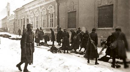 Ужасы венгерской облавы в Югославии во время ВОВ Ужасы венгерской облавы в Югославии во время ВОВ