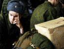 Доведенные до нового облика Доведенные до нового облика