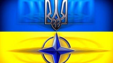Украина обзавелась новыми помощниками