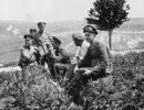 В объективе — Первая мировая В объективе — Первая мировая