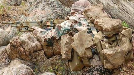 Британские военные испытали «плащ-невидимку» в полевых условиях Британские военные испытали «плащ-невидимку» в полевых условиях