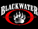 Частные войска. История восхождения «Blackwater» Частные войска. История восхождения «Blackwater»