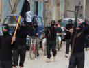 ISIL и Фронт аль-Нусра продолжают убивать друг друга в Дейр Эззур